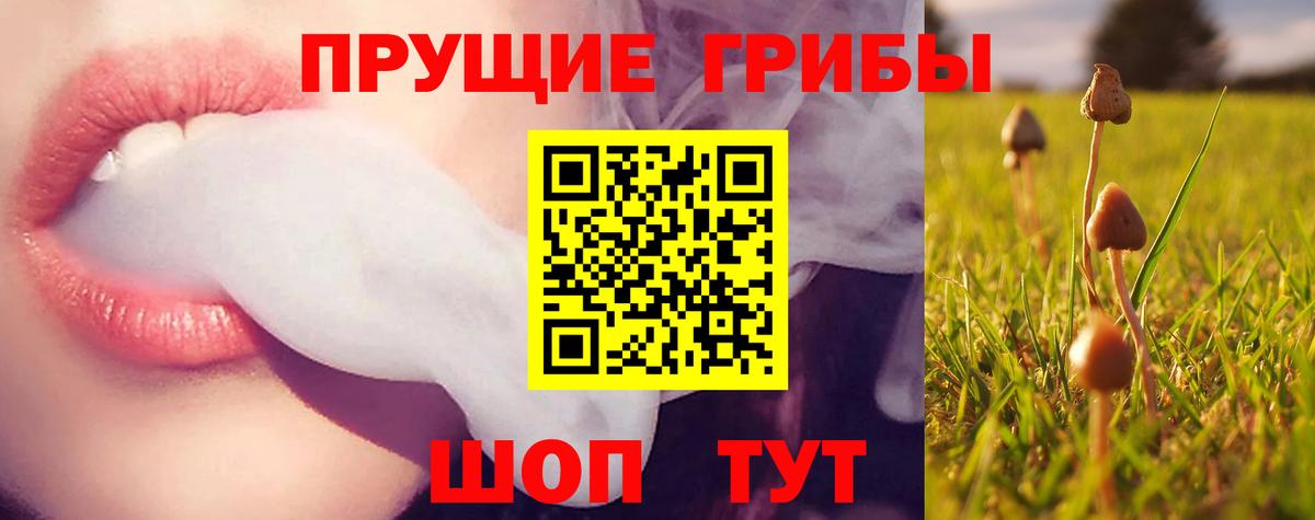 Тимашёвск  Галлюциногенные грибы ЛСД  Вход с VPN  Галлюциногенные грибы MAGIC MUSHROOMS 